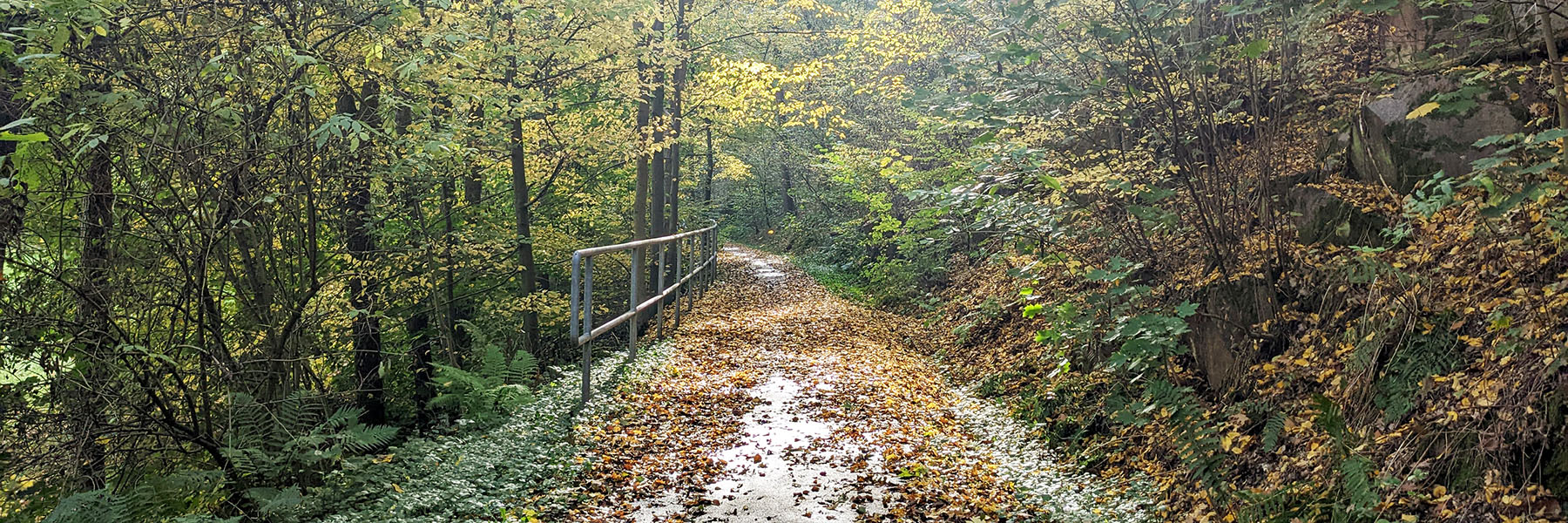 Zitat Hintergrund, Frühlingsgrüße